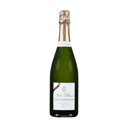Andre Delorme Cremant de Bourgogne Brut French Sparkling Wine bottle