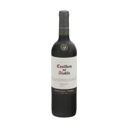 Casillero del Diablo Malbec Chile Red Wine bottle