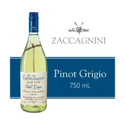Cantina Zaccagnini Pinot Grigio White Wine bottle