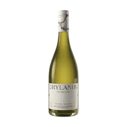 Drylands Sauvignon Blanc 2024 Marlborough New Zealand bottle