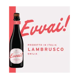 Evvai Lambrusco Italy Sparkling Wine bottle