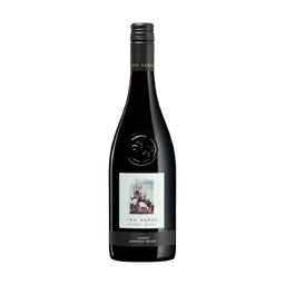 Two Hands Gnarly Dudes Shiraz Australian Red Wine bottle